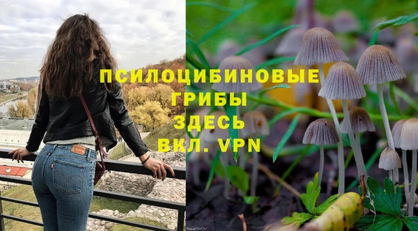 стафф Козельск