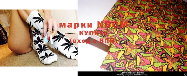 гашик Кодинск