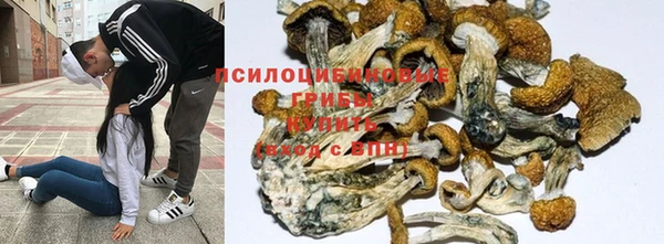 прущие крисы Корсаков