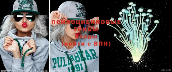 прущие крисы Корсаков