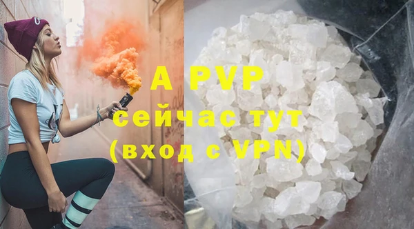 гашик Кодинск